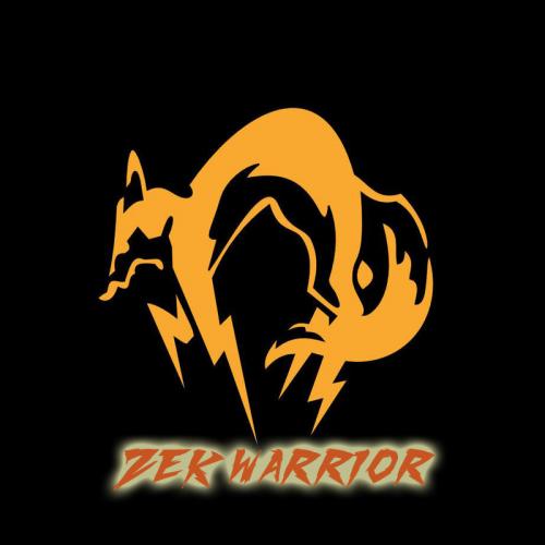 ZEK_WARRIOR Team - VSLeague Online eSport