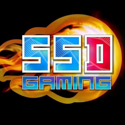 SSDG Team - VSLeague Online eSport