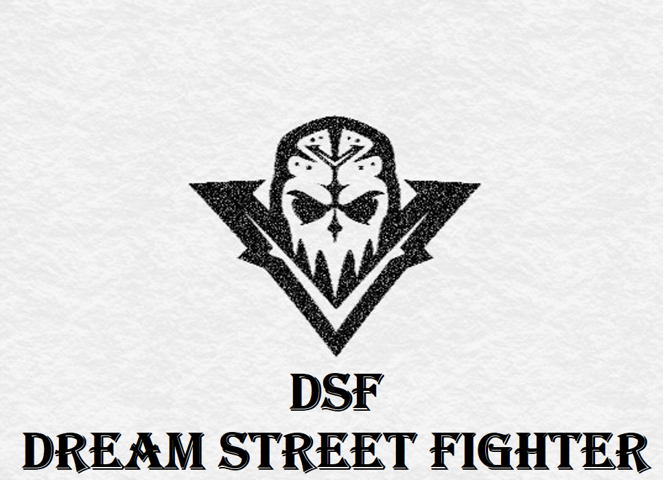 Dream_Street_Fighter Team - VSLeague Online eSport