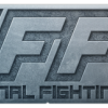 Final_Fighting_Crew Team - VSLeague Online eSport